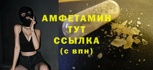 СК Ельня