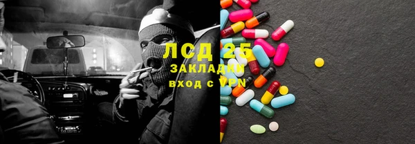 СК Ельня