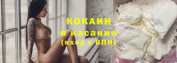 СК Ельня