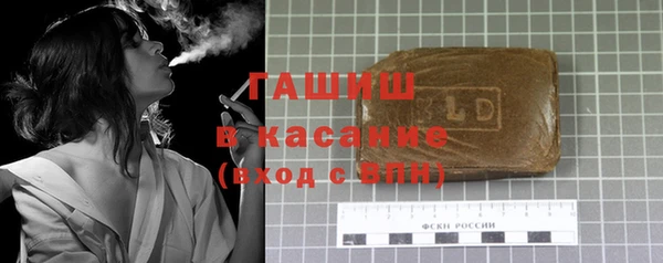 СК Ельня