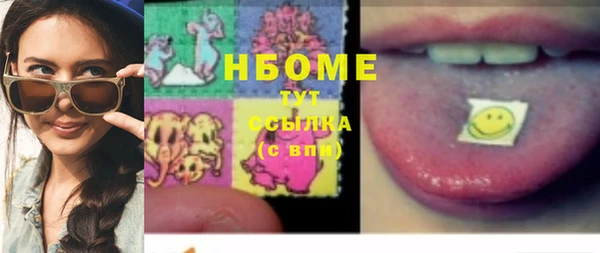 СК Ельня
