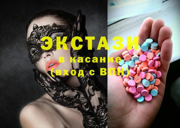 СК Ельня