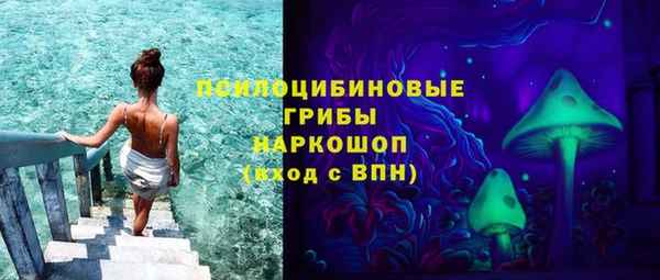 apvp Елабуга